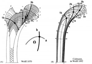 Graphic Static Method as found by Wolf / Culmann